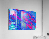 With Blue Pink  Acrylic Print