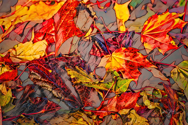 Leaf Pile Two by Ken Foster
