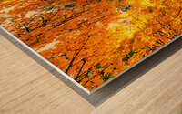 Maple Candy Wood print