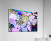 Stained Glass Butterfly  Acrylic Print