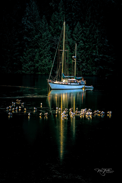 Anchored in Ice by Ken Foster