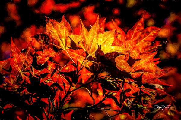 Autumn Bouquet by Ken Foster