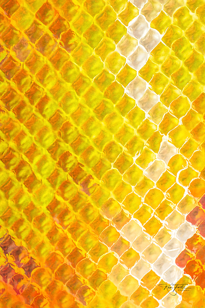 Honeycomb Radiator by Ken Foster
