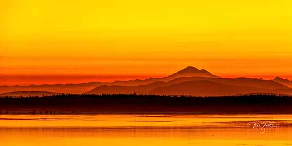 Layered Gold by Ken Foster