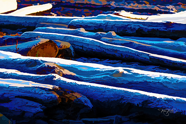 Logs on a Winter Beach by Ken Foster