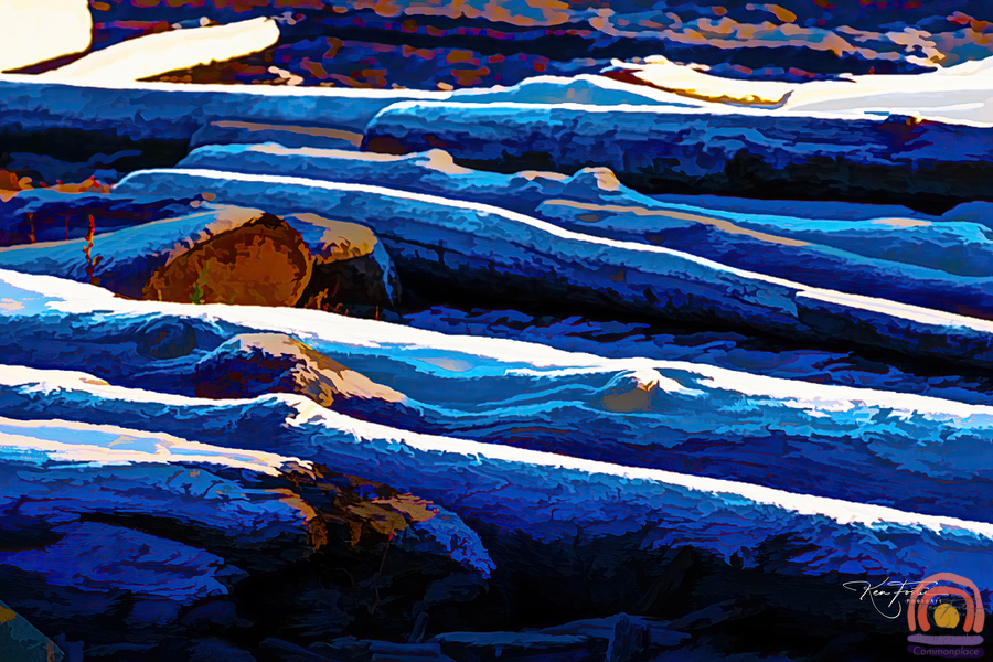 Logs on a Winter Beach  Print