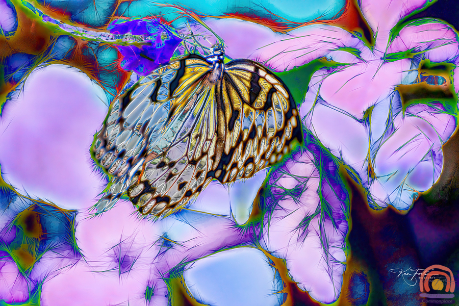 Stained Glass Butterfly  Print