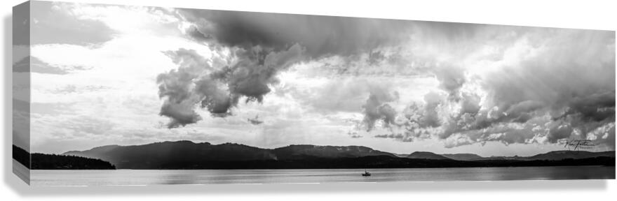 Clearing in the South  Canvas Print