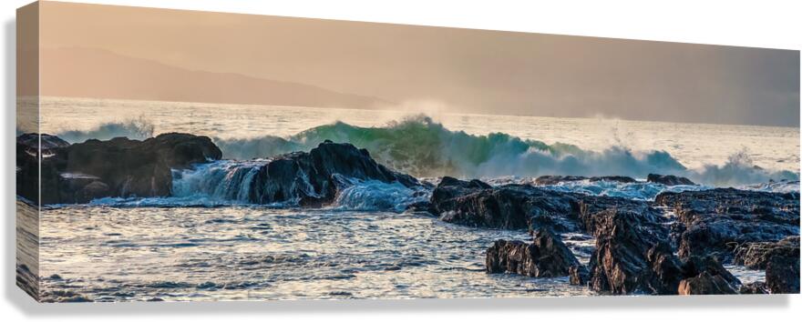 Rox and Waves  Canvas Print