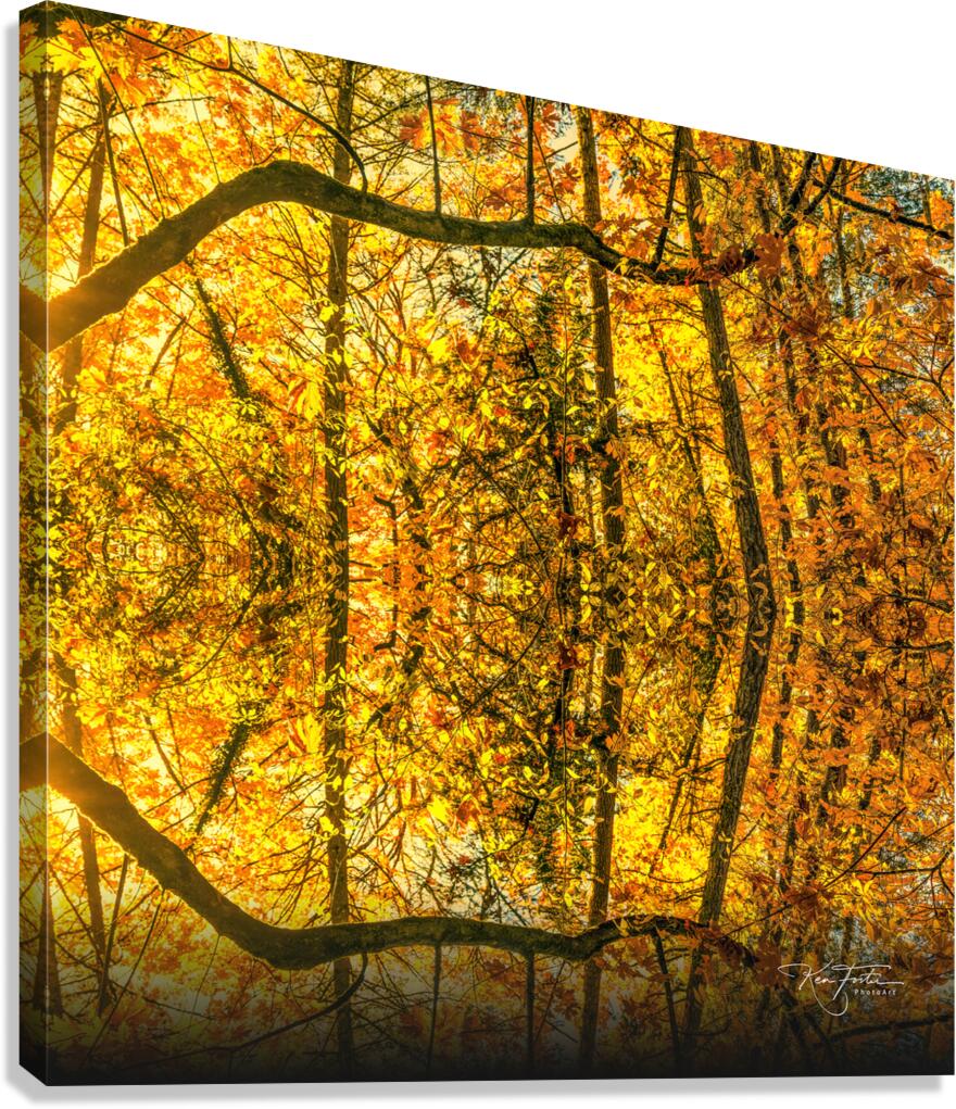 Branch and Sun  Impression sur toile