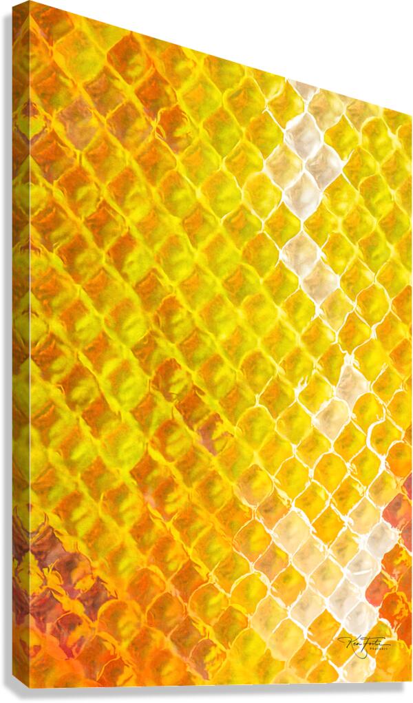 Honeycomb Radiator  Canvas Print