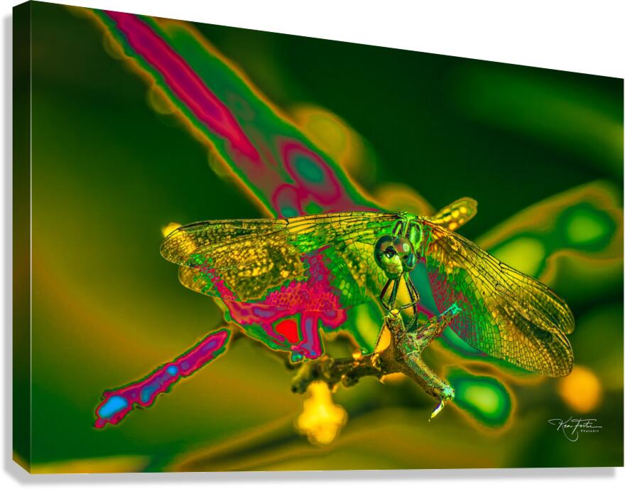 Electric Dragonfly  Canvas Print