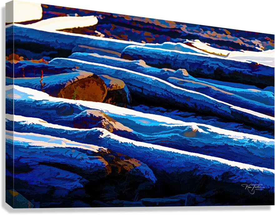 Logs on a Winter Beach  Impression sur toile