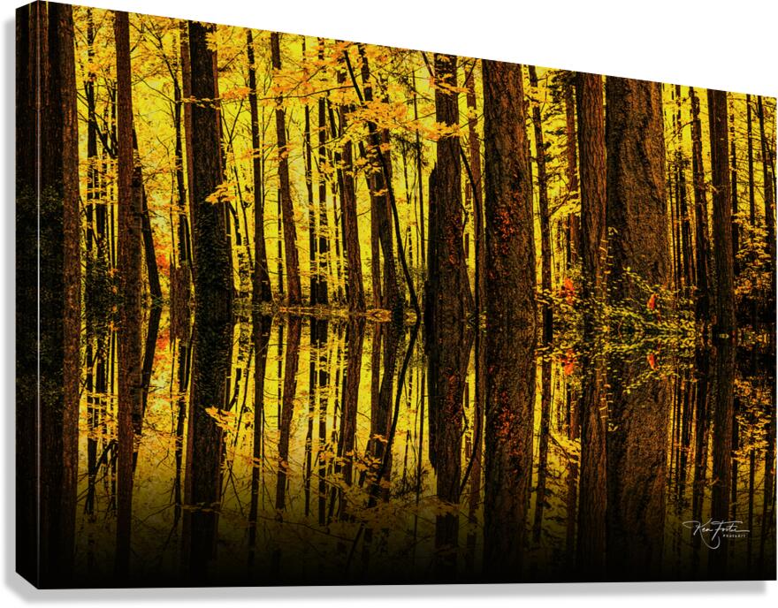 Stripes and Leaves  Canvas Print