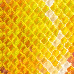 Honeycomb Radiator